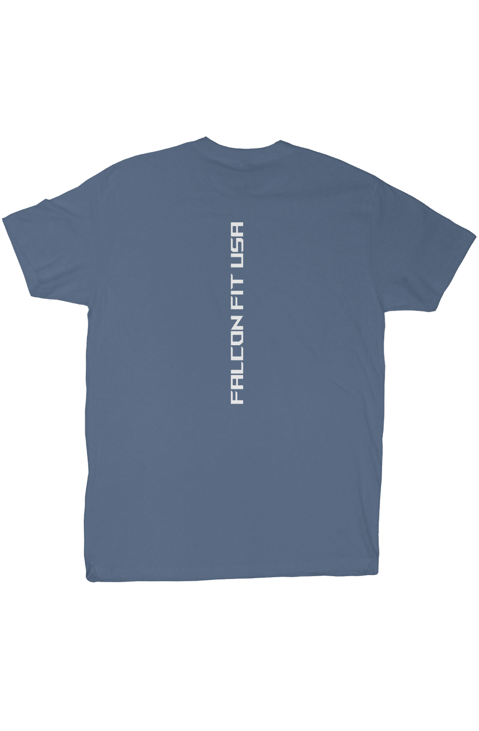 Light as a Falcon Tee V2
