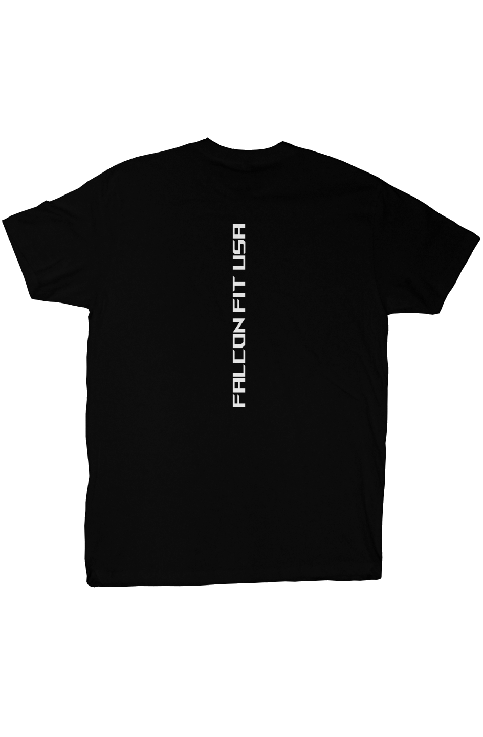 Light as a Falcon Tee V2